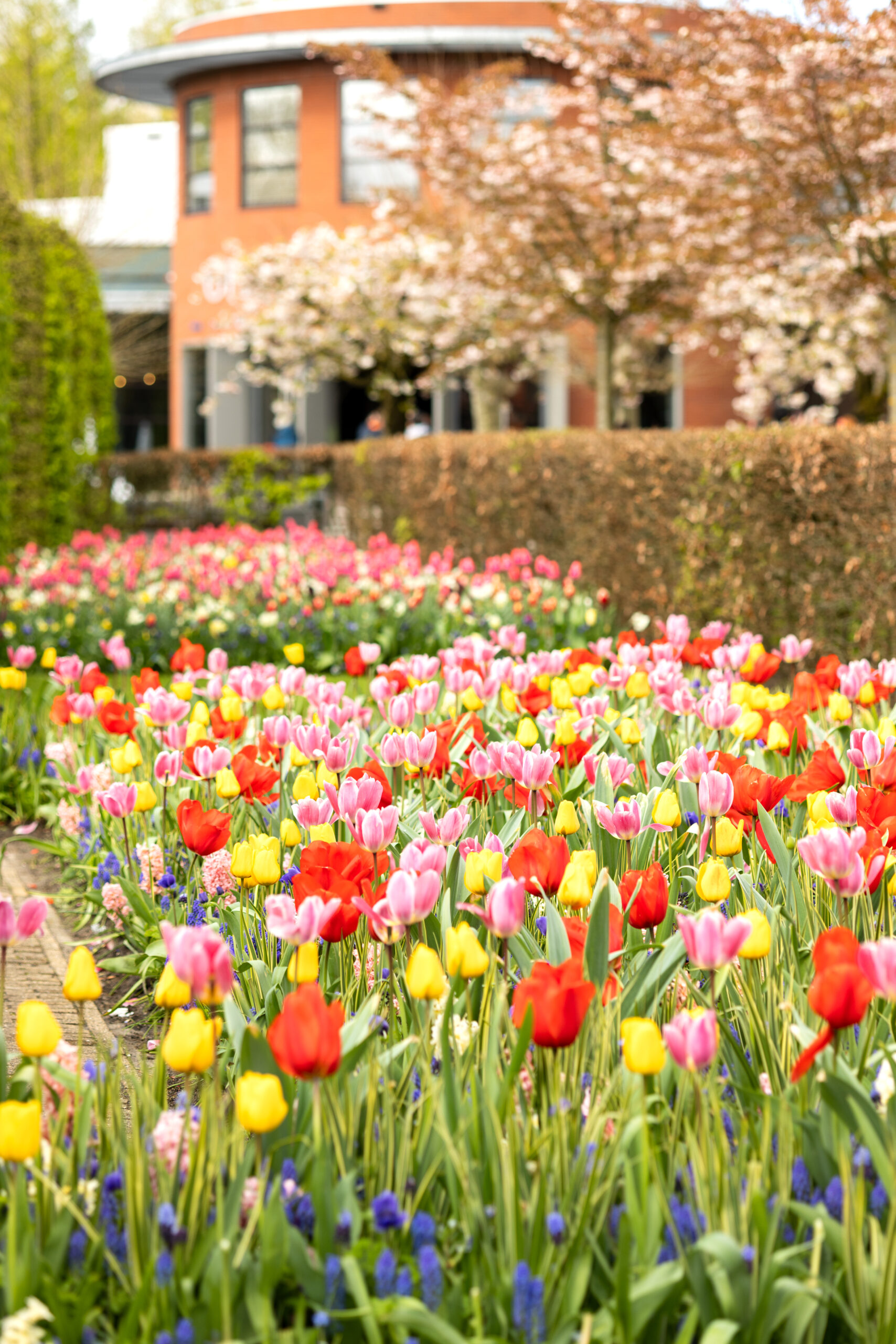 Las Vegas Commercial Asset Management